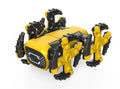Intelligent Robot Dog Experiment
